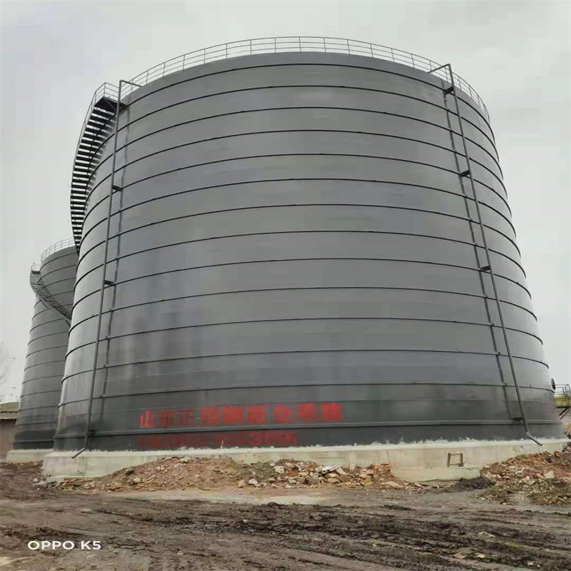 阆中3万吨大型钢板库